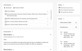 GaView Login