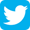 Twitter Link