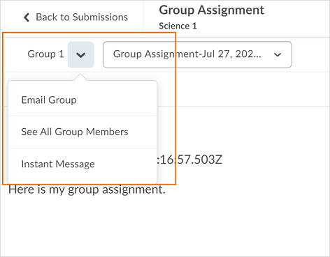 The drop-down action menu appears from the Group Name on the File Submission page in Assignments