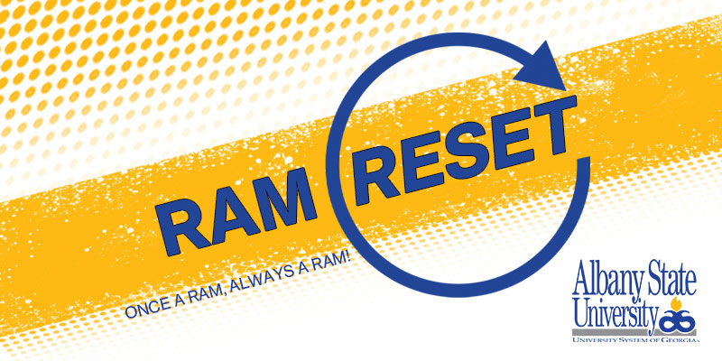 Ram Reset