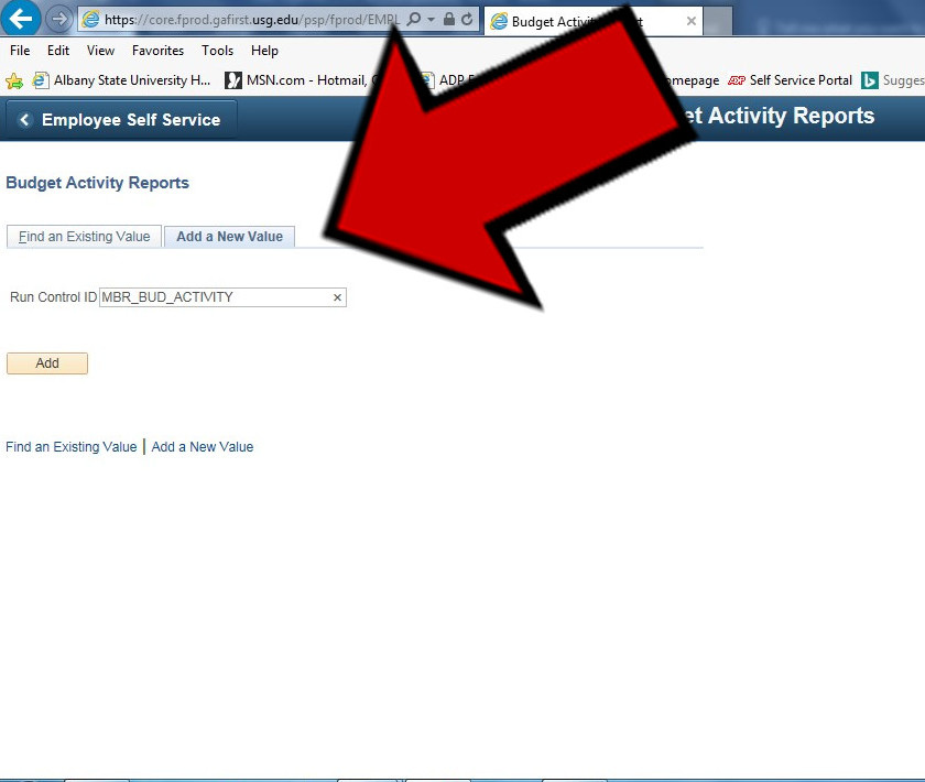 New Value” tab for establishing the “New” Run Control ID