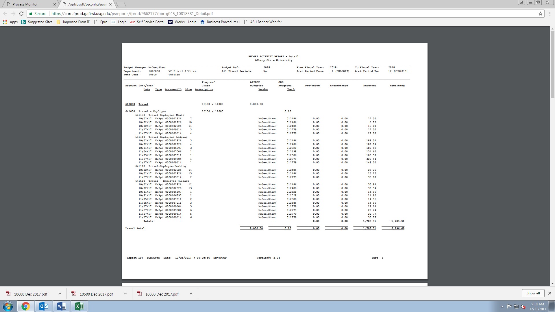 Activity Report