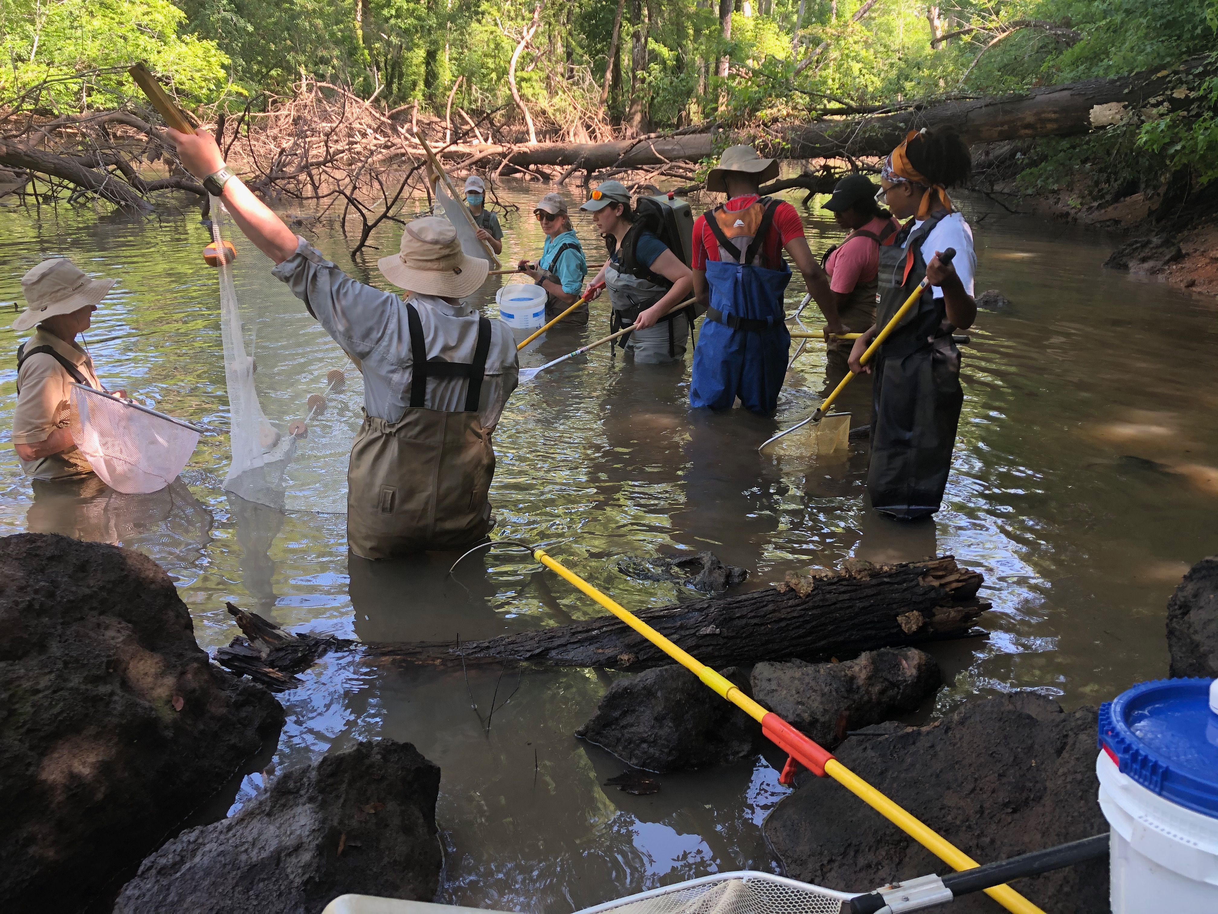 Collecting Fish