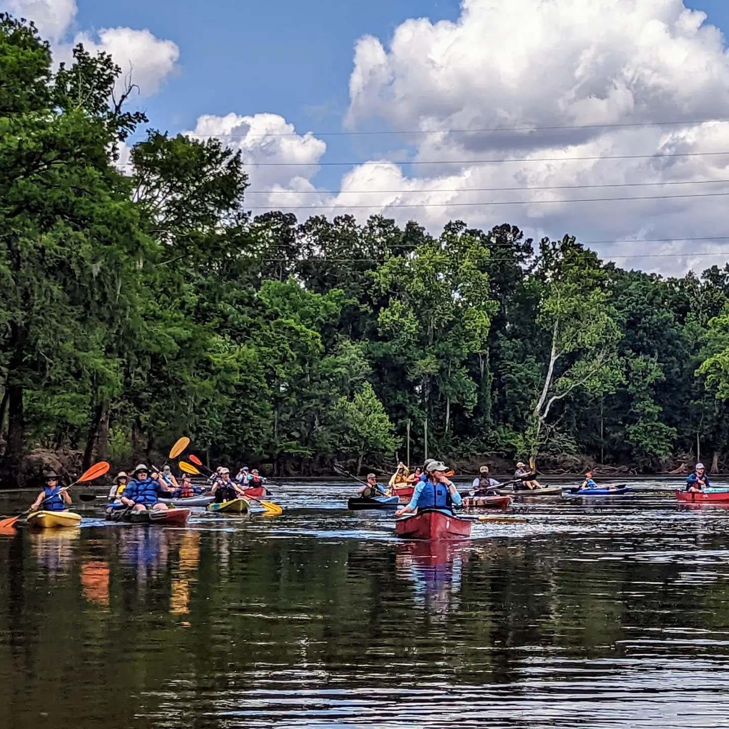kayak at conference 