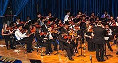 Dougherty County Youth Orchestra Concerts                                      