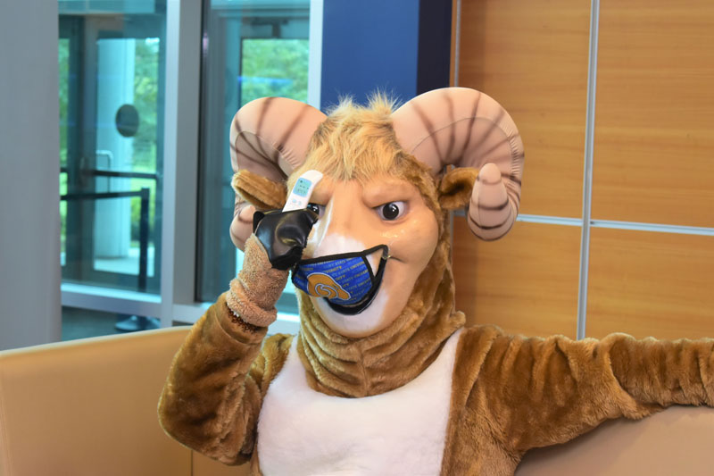 Sam the Ram Health